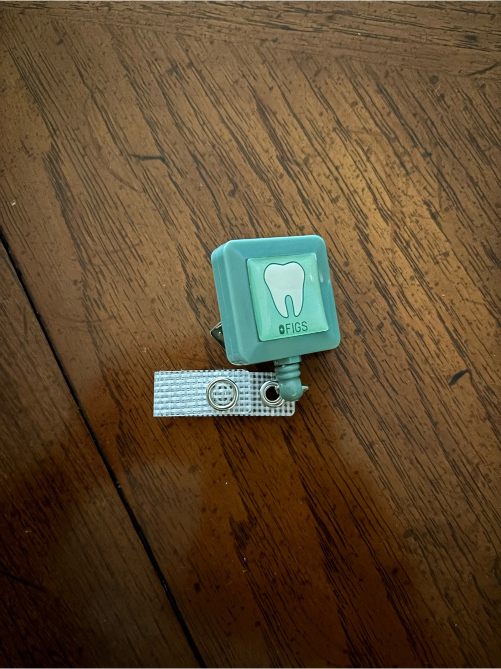 FIGS Mint Green Clip-On Headset Accessory with Tooth Logo